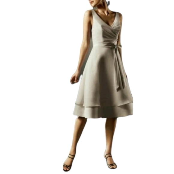 SAISON BLANCHE BRIDESMAID FORMAL PROM DRESS - Picture 1 of 6